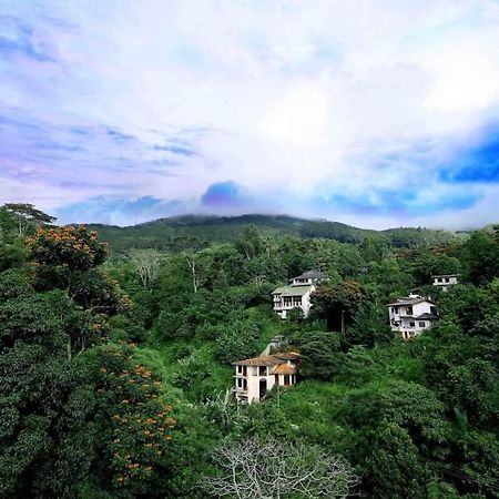 Hillcrest Villa Peradeniya Extérieur photo